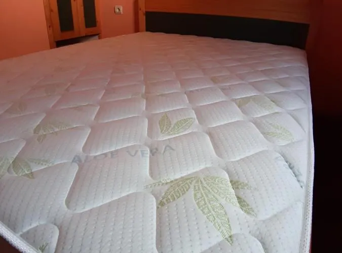 בית אירוח Palma *